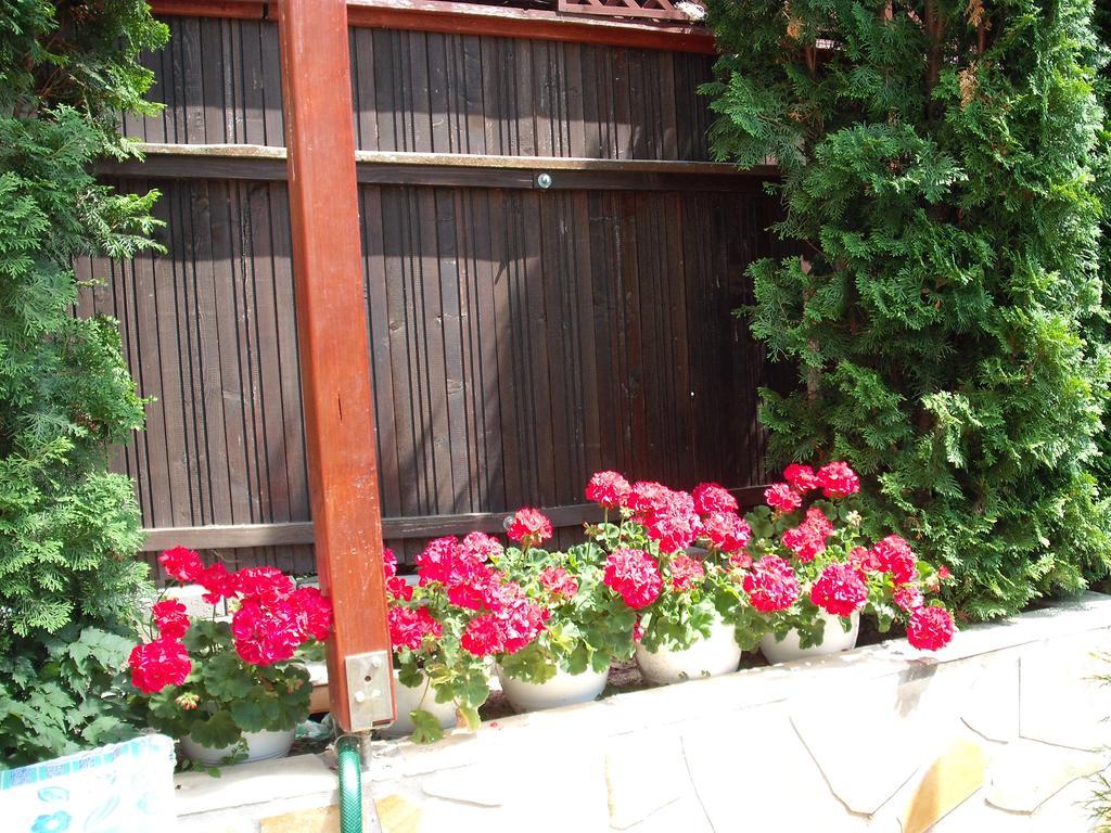 Apart Hevizi Haz Dış mekan fotoğraf